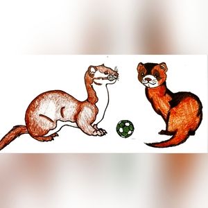 My drawing of two cute ferrets